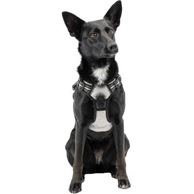 Ferplast Medium Dog Harness, 2 Hooks, No Pull, Adjustable, Reflective, Grey Ferplast Medium Dog Harness, 2 Hooks, No Pull, Adjustable, Reflective, Grey