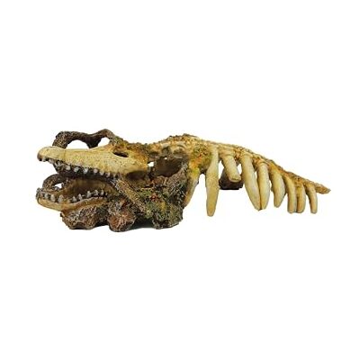 CLASSIC Crocodile Skeleton with wood 297x130x70mm CLASSIC Crocodile Skeleton with wood 297x130x70mm