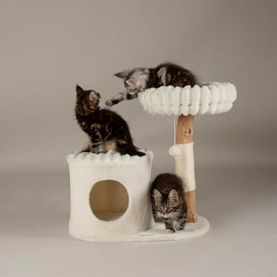Scruffs Himalayas Cat Scratching Tree Scruffs Himalayas Cat Scratching Tree