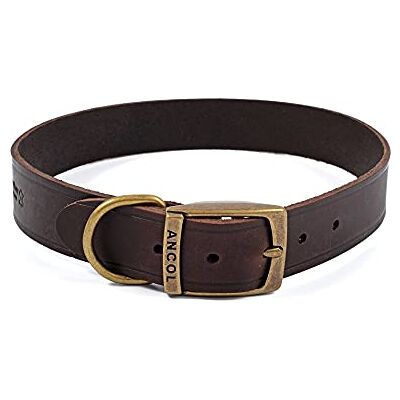 Ancol Latigo Flexible Stretchy Dog Collar Havana Leather Pet Training Accessory with Antique Gold Fixings Soft and Resilient Size 8 55-63 cm Ancol Latigo Flexible Stretchy Dog Collar Havana Leather Pet Training Accessory with Antique Gold Fixings Soft and Resilient Size 8 55-63 cm