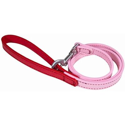 Rosewood Vegan Leather Dog Lead – PU Leather Pet Leash for Small, Medium & Large Dogs – Stylish, Durable Lead with Metal Hardware – Pink/Red, 102cm Rosewood Vegan Leather Dog Lead – PU Leather Pet Leash for Small, Medium & Large Dogs – Stylish, Durable Lead with Metal Hardware – Pink/Red, 102cm