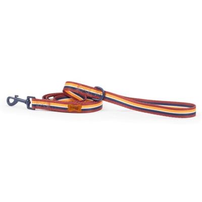 Preziosi Pet Leash for Small Medium Dogs and Puppies Walking Rope Nylon Heavy Duty Length 125cm Height 2cm Preziosi Pet Leash for Small Medium Dogs and Puppies Walking Rope Nylon Heavy Duty Length 125cm Height 2cm