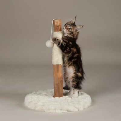 Scruffs Andes "My First" Cat Scratching Tree Scruffs Andes "My First" Cat Scratching Tree