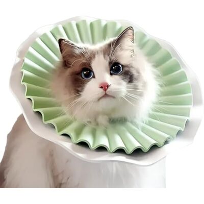 AQPET Soft Elizabethan Collar for Cats, Animals, Flexible and Lightweight Plastic, Double Layer, Adjustable and Comfortable, Post-Operative Protection and Wounds Green, Size Medium AQPET Soft Elizabethan Collar for Cats, Animals, Flexible and Lightweight Plastic, Double Layer, Adjustable and Comfortable, Post-Operative Protection and Wounds Green, Size Medium