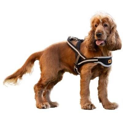 Ferplast Dog Harness ERGOCOMFORT NORDIC, Swedish Harness for Dogs, Comfortable Padded, Reflective, Closure with Micro-regulation, Quick Release, SMALL Ferplast Dog Harness ERGOCOMFORT NORDIC, Swedish Harness for Dogs, Comfortable Padded, Reflective, Closure with Micro-regulation, Quick Release, SMALL