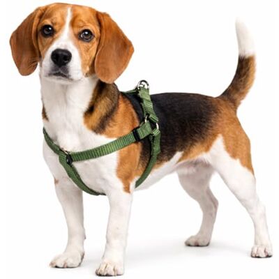 Flamingo Dog Harness Step&Go Ziggi Khaki M 35-60cm 35-60cm 20mm Flamingo Dog Harness Step&Go Ziggi Khaki M 35-60cm 35-60cm 20mm