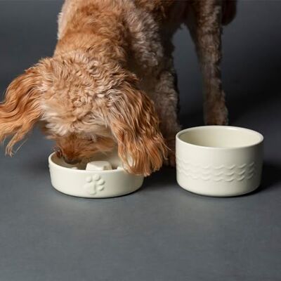 Scruffs Icon Dog/Pet Slow Feeding Bowl Set 16cm Slow Feeder & 15cm Water Bowl – Cream Scruffs Icon Dog/Pet Slow Feeding Bowl Set 16cm Slow Feeder & 15cm Water Bowl – Cream