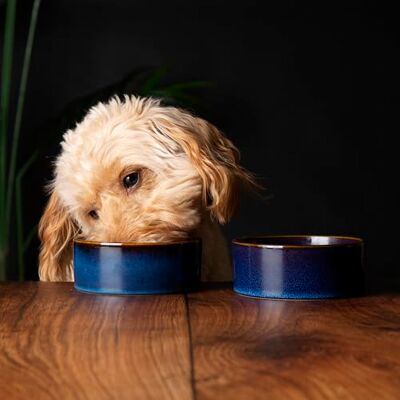 Scruffs Ceramic Heavy Duty Reactive Glaze Pet Bowls 2pc Set 13cm Scruffs Ceramic Heavy Duty Reactive Glaze Pet Bowls 2pc Set 13cm