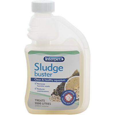 Interpet Sludge Buster Aquarium Treatment, 250 ml, Removes Harmful Waste, Reduces Maintenance, Fast Acting Beneficial Bacteria Interpet Sludge Buster Aquarium Treatment, 250 ml, Removes Harmful Waste, Reduces Maintenance, Fast Acting Beneficial Bacteria