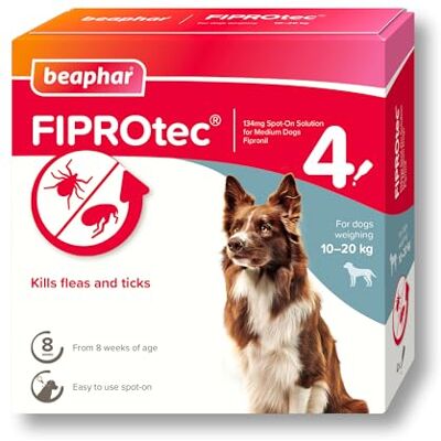 Beaphar FIPROtec Spot-On Flea & Tick Treatment for Medium Dogs 10-20kg 4 Pipettes Kills Fleas & Ticks – Veterinary Medicine Easy to Apply Monthly Suitable for Dogs & Puppies from 8 Weeks Beaphar FIPROtec Spot-On Flea & Tick Treatment for Medium Dogs 10-20kg 4 Pipettes Kills Fleas & Ticks – Veterinary Medicine Easy to Apply Monthly Suitable for Dogs & Puppies from 8 Weeks