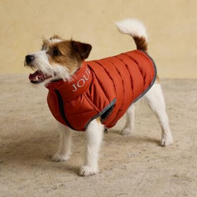 Rosewood x Joules Ketchup Moorsdale Puffer Dog Coat, Medium – Reversible Winter Jacket with Zip Closure, Warm, Lightweight, Water-Resistant Pet Coat for Medium Dogs Rosewood x Joules Ketchup Moorsdale Puffer Dog Coat, Medium – Reversible Winter Jacket with Zip Closure, Warm, Lightweight, Water-Resistant Pet Coat for Medium Dogs