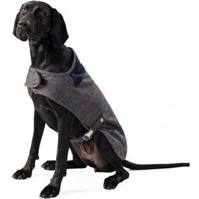 Hugo Boss x HACKETT Tweed Dog Jacket Coat Corduroy Collar, Grey Checked Herringbone XS25 Hugo Boss x HACKETT Tweed Dog Jacket Coat Corduroy Collar, Grey Checked Herringbone XS25