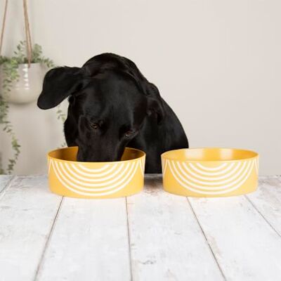 Scruffs Aztec 2pc Ceramic Dog Bowl Set Sunflower 19cm Scruffs Aztec 2pc Ceramic Dog Bowl Set Sunflower 19cm