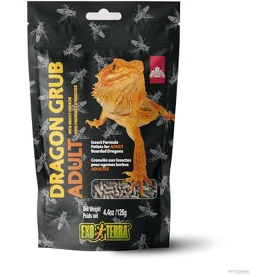 Exo Terra ET Dragon Grub Adult BD 125g Exo Terra ET Dragon Grub Adult BD 125g