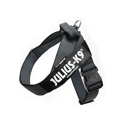 Julius-K9 , IDC Color & Gray Belt Harness, Size: 2XL / 3, Black-Gray Julius-K9 , IDC Color & Gray Belt Harness, Size: 2XL / 3, Black-Gray