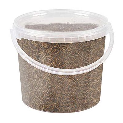 Pet Ting Premium Dried Mealworms, 5 Litre Tub Pet Ting Premium Dried Mealworms, 5 Litre Tub