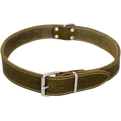 JACK AND VANILLA , Greasy Green Leather Collar for Dogs and Cats, 10 mm Wide, Adjustable, 25 cm, Durable and Comfortable, Ideal for Active and Stylish Pets, Leather Model JACK AND VANILLA , Greasy Green Leather Collar for Dogs and Cats, 10 mm Wide, Adjustable, 25 cm, Durable and Comfortable, Ideal for Active and Stylish Pets, Leather Model