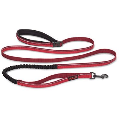 Halti Active Lead Size Large, Red, Award-Winning Bungee Dog Lead, Shock-Absorbing Anti-Pull Dog Leash, All-in-One Neoprene Padded Belt & Lead, Perfect for Running & Training with Medium & Large Dogs Halti Active Lead Size Large, Red, Award-Winning Bungee Dog Lead, Shock-Absorbing Anti-Pull Dog Leash, All-in-One Neoprene Padded Belt & Lead, Perfect for Running & Training with Medium & Large Dogs