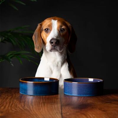 Scruffs Ceramic Heavy Duty Reactive Glaze Pet Bowls 2pc Set 15cm Scruffs Ceramic Heavy Duty Reactive Glaze Pet Bowls 2pc Set 15cm