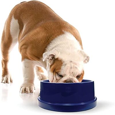 K&H Pet Products K&H Cooling Bowl, Blue, 96 oz K&H Pet Products K&H Cooling Bowl, Blue, 96 oz