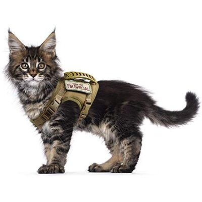 augopapa Tactical Cat Harness for Walking Escape Proof, Soft Mesh Adjustable Pet Vest Harness for Large Cat,Small Dog augopapa Tactical Cat Harness for Walking Escape Proof, Soft Mesh Adjustable Pet Vest Harness for Large Cat,Small Dog