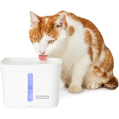 PetSafe Viva Pet Fountain for Cats and Small Dogs – 1.8L/64 oz, Indoor Cat Water Fountain with Whisper Quiet Pump, Dishwasher Safe, Easy to Clean, Water Filters Included PetSafe Viva Pet Fountain for Cats and Small Dogs – 1.8L/64 oz, Indoor Cat Water Fountain with Whisper Quiet Pump, Dishwasher Safe, Easy to Clean, Water Filters Included