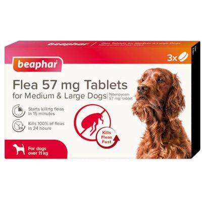 Beaphar Flea Tablets for Medium/Large Dogs (>11kg) 3 Treatment Pack Rapid Knock Down of Fleas Starts Killing Fleas In 15 Minutes, Kills 100% in 24hrs Veterinary Medicine For Dogs > 4 Weeks Beaphar Flea Tablets for Medium/Large Dogs (>11kg) 3 Treatment Pack Rapid Knock Down of Fleas Starts Killing Fleas In 15 Minutes, Kills 100% in 24hrs Veterinary Medicine For Dogs > 4 Weeks