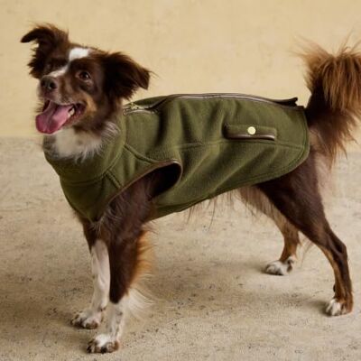 Rosewood x Joules Khaki Fairbourne Dog Fleece, Small – Soft and Warm Zip-Up Pet Fleece, Cosy Luxury Dog Gilet Jacket for Autumn & Winter Walks Rosewood x Joules Khaki Fairbourne Dog Fleece, Small – Soft and Warm Zip-Up Pet Fleece, Cosy Luxury Dog Gilet Jacket for Autumn & Winter Walks