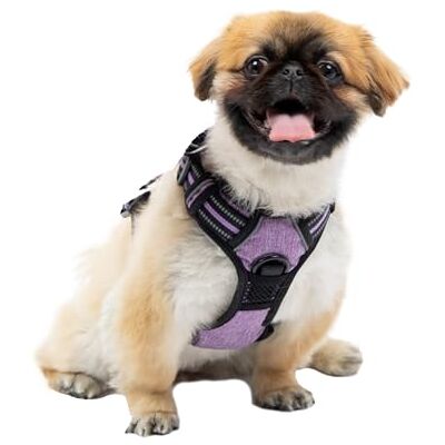 Ferplast Dog Harness Small Dog, 2 Hooks for Maximum Control, No Pull Harness Adjustable Dog Harness, Reflective, Breathable, Dog Harness Ideal for Training S, Purple Ferplast Dog Harness Small Dog, 2 Hooks for Maximum Control, No Pull Harness Adjustable Dog Harness, Reflective, Breathable, Dog Harness Ideal for Training S, Purple