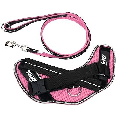 Julius-K9 IDC Powair Bundle IDC Powair Harness, Size: M/0, Pink + IDC Powair Leash, Size: 1,2 m with Handle and Large Carabiner, Pink Julius-K9 IDC Powair Bundle IDC Powair Harness, Size: M/0, Pink + IDC Powair Leash, Size: 1,2 m with Handle and Large Carabiner, Pink