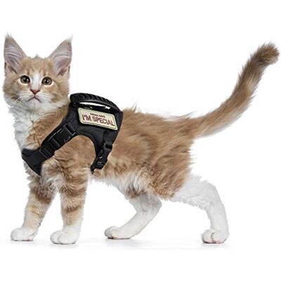augopapa Tactical Cat Harness for Walking Escape Proof, Soft Mesh Adjustable Pet Vest Harness for Large Cat,Small Dog augopapa Tactical Cat Harness for Walking Escape Proof, Soft Mesh Adjustable Pet Vest Harness for Large Cat,Small Dog