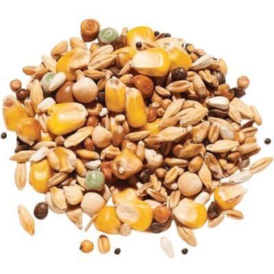 Countrywide All-Rounder Pigeon Food 20kg High Energy & Protein Seed Mix For Pigeons Rich In Nutritious Oils, Vitamins and Minerals Dust Free Countrywide All-Rounder Pigeon Food 20kg High Energy & Protein Seed Mix For Pigeons Rich In Nutritious Oils, Vitamins and Minerals Dust Free