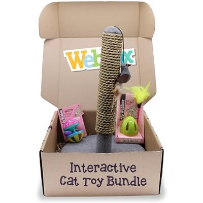 Webbox Interactive Cat Toy Bundle Box (3 Pack) Feather Wand, Jingle Ball & Scratch Post for Indoor Adult Cats & Kittens Webbox Interactive Cat Toy Bundle Box (3 Pack) Feather Wand, Jingle Ball & Scratch Post for Indoor Adult Cats & Kittens