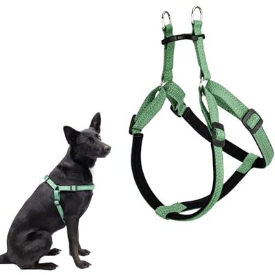 Ferplast Harness for Medium-Sized Dogs, Adjustable, Padded, Easy to Wear, Made from 100% Recycled Plastic from PET Bottles, M, Green Ferplast Harness for Medium-Sized Dogs, Adjustable, Padded, Easy to Wear, Made from 100% Recycled Plastic from PET Bottles, M, Green