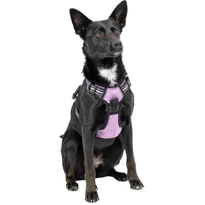 Ferplast Dog Harness Medium Dog, 2 Hooks for Maximum Control, No Pull Harness Adjustable Dog Harness, Reflective, Breathable, Dog Harness Ideal for Training M, Purple Ferplast Dog Harness Medium Dog, 2 Hooks for Maximum Control, No Pull Harness Adjustable Dog Harness, Reflective, Breathable, Dog Harness Ideal for Training M, Purple