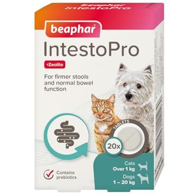 Beaphar – IntestoPro Prebiotic Stool Firming Tablets for Cats and Small Dogs (<20kg) – Natural Active Ingredients – Aids digestive upsets and diarrhoea Supports Healthy Gut Function – 20 Tablets Beaphar – IntestoPro Prebiotic Stool Firming Tablets for Cats and Small Dogs (<20kg) – Natural Active Ingredients – Aids digestive upsets and diarrhoea Supports Healthy Gut Function – 20 Tablets