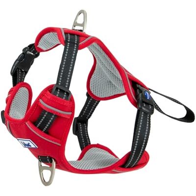 Ancol Viva Exercise and Travel Dog Harness in Red Comfortable Pet Accessory with Padded Chest and 2 Leash Clips Large 60-85cm Ancol Viva Exercise and Travel Dog Harness in Red Comfortable Pet Accessory with Padded Chest and 2 Leash Clips Large 60-85cm