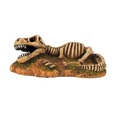 CLASSIC Dinosaur Fossil Skeleton Aquarium Ornament – Prehistoric Fish Tank Decoration – 170x91x60mm CLASSIC Dinosaur Fossil Skeleton Aquarium Ornament – Prehistoric Fish Tank Decoration – 170x91x60mm