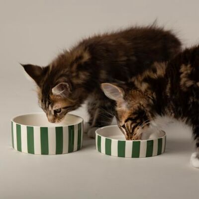 Scruffs Amalfi Striped 2 Piece Cat Food Bowl & Saucer Set Green Scruffs Amalfi Striped 2 Piece Cat Food Bowl & Saucer Set Green