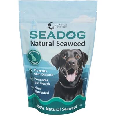 Coastal Nutrients Sea Dog Dental Powder for Dogs by with Scoop Seaweed for Dogs Natural Dog Breath Freshener & Dog Plaque Powder Natural and Sustainably Sourced 250g Pouch Coastal Nutrients Sea Dog Dental Powder for Dogs by with Scoop Seaweed for Dogs Natural Dog Breath Freshener & Dog Plaque Powder Natural and Sustainably Sourced 250g Pouch