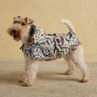 Rosewood x Joules Festival Floral Packaway Dog Jacket, Medium – Lightweight Water-Resistant Coat with Hood, Adjustable Velcro Fastenings, Portable for Travel & Walks Rosewood x Joules Festival Floral Packaway Dog Jacket, Medium – Lightweight Water-Resistant Coat with Hood, Adjustable Velcro Fastenings, Portable for Travel & Walks