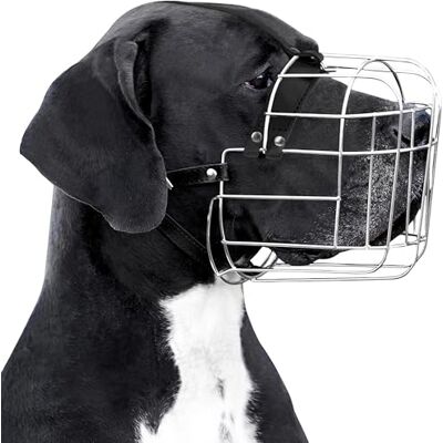 BRONZEDOG Dog Muzzle Adjustable Durable Metal Wire Basket for Large and Extra Large Dogs with Leather Straps Breathable, Drinkable, Training, Prevents Biting BRONZEDOG Dog Muzzle Adjustable Durable Metal Wire Basket for Large and Extra Large Dogs with Leather Straps Breathable, Drinkable, Training, Prevents Biting