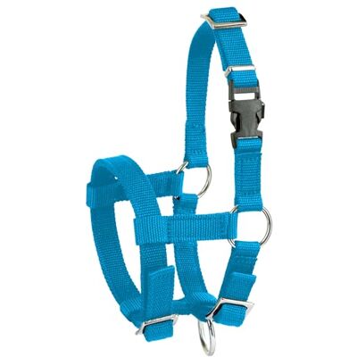 Kerbl Alpaca Headcollar Adjustable Blue (Dimensions 17 x 18 x 4.5 cm, Weight 0.1 kg, Material 20 mm Polypropylene) 27183 Kerbl Alpaca Headcollar Adjustable Blue (Dimensions 17 x 18 x 4.5 cm, Weight 0.1 kg, Material 20 mm Polypropylene) 27183