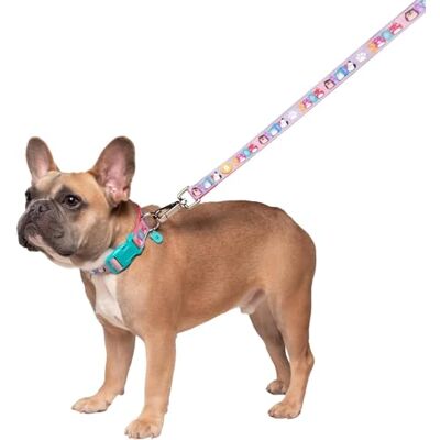 Squishmallows Original Squish Squad Pet Leash/Lead Official Jazwares Pets Apparel Squishmallows Original Squish Squad Pet Leash/Lead Official Jazwares Pets Apparel