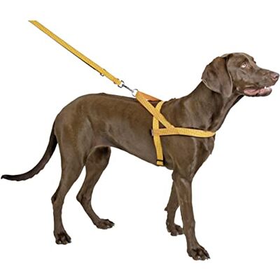 Kerbl Pet Kerbl Reflective Norwegian Harness, 20 mm x 60 75 cm Kerbl Pet Kerbl Reflective Norwegian Harness, 20 mm x 60 75 cm