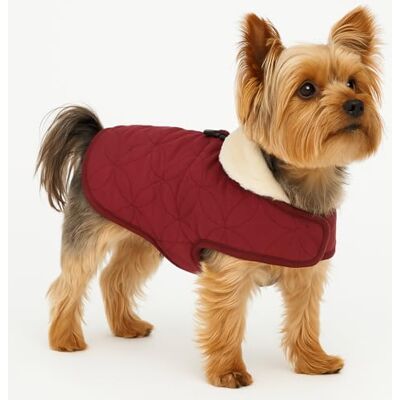 Flamingo WINTER COAT KODA BURGUNDY 30CM Flamingo WINTER COAT KODA BURGUNDY 30CM