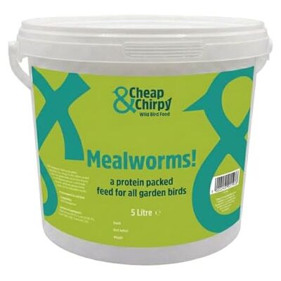 Cheap & Chirpy Dried Mealworms for Wild Birds 5 Litre Tub Meal Worms for Garden Birds Squirrel & Hedgehog Food Swan & Duck Feed (packaging may vary) Cheap & Chirpy Dried Mealworms for Wild Birds 5 Litre Tub Meal Worms for Garden Birds Squirrel & Hedgehog Food Swan & Duck Feed (packaging may vary)