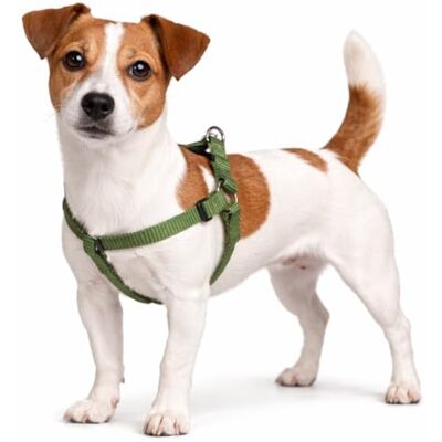 Flamingo Dog Harness Step&Go Ziggi Khaki S 25-45cm 25-45cm 15mm Flamingo Dog Harness Step&Go Ziggi Khaki S 25-45cm 25-45cm 15mm