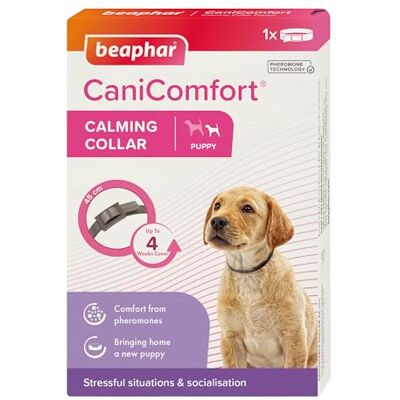 Beaphar CaniComfort® Calming Collar For Puppies – Reduces Stress & Anxiety – Pheromone Calming for Puppies – Long-Lasting Up To 4 Weeks – Ideal for Anxious Dogs & Long-Term Stress – 1 x 45cm Collar Beaphar CaniComfort® Calming Collar For Puppies – Reduces Stress & Anxiety – Pheromone Calming for Puppies – Long-Lasting Up To 4 Weeks – Ideal for Anxious Dogs & Long-Term Stress – 1 x 45cm Collar