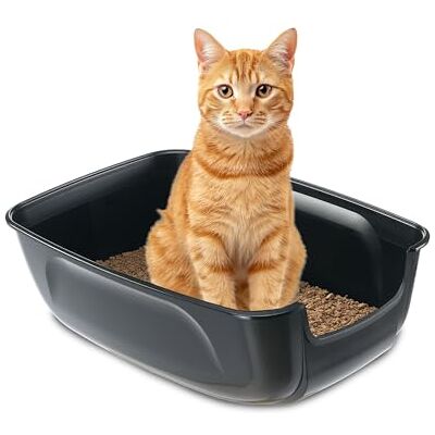 Ferplast Cat Litter Box, Open Cat Litter Tray EXTRA LARGE, Easy to Clean, in Plastic L 67 × W 49 × H 24 cm. Black Ferplast Cat Litter Box, Open Cat Litter Tray EXTRA LARGE, Easy to Clean, in Plastic L 67 × W 49 × H 24 cm. Black
